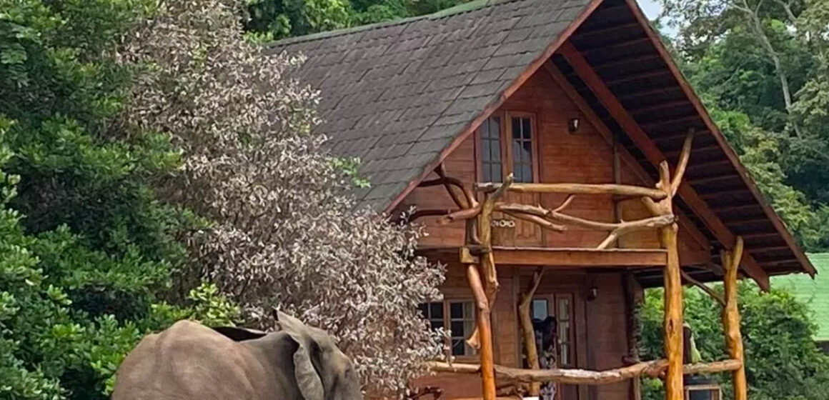 La plus belle réserve de mangroves d&rsquo;Afrique