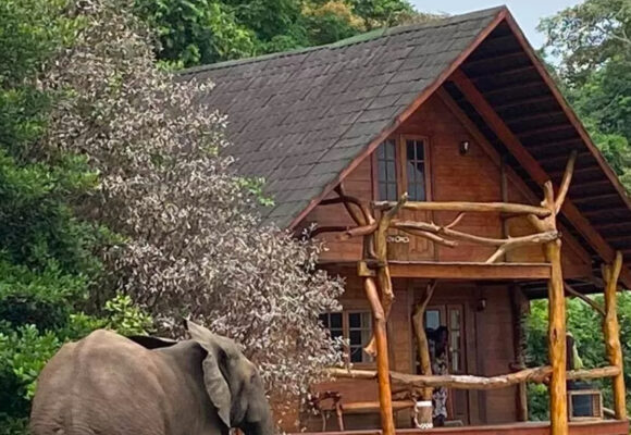 La plus belle réserve de mangroves d&rsquo;Afrique