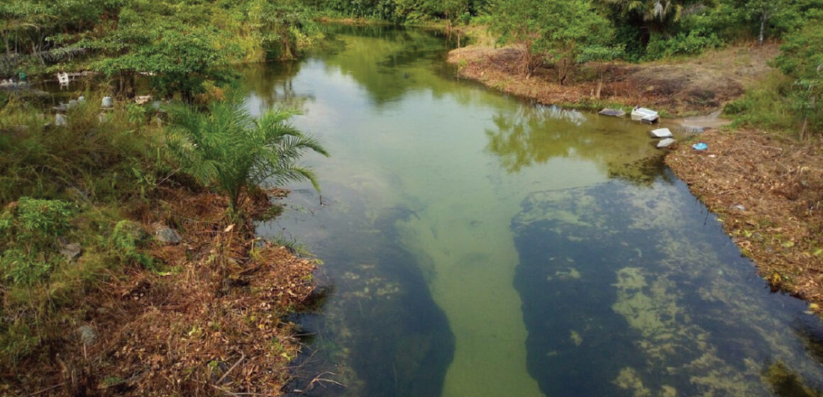 L’EAU CLAIRE DE LECONI, un paradis au coeur du Gabon !