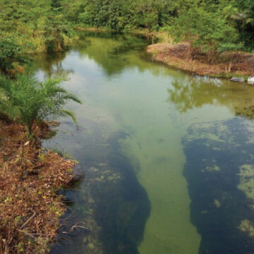 L’EAU CLAIRE DE LECONI, un paradis au coeur du Gabon !
